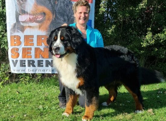 NBSV-Fokgeschiktheids-keuring-2023-79-scaled