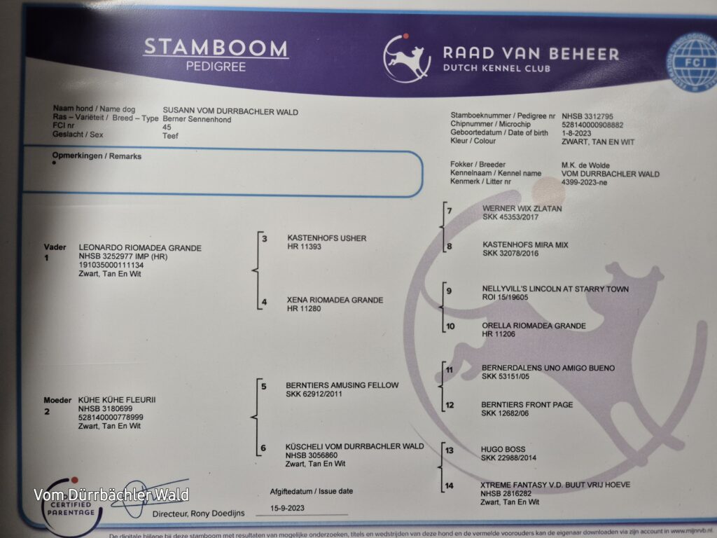 Pedigree Susänn