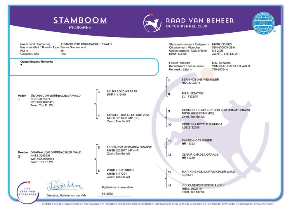 Stamboom (3355065)