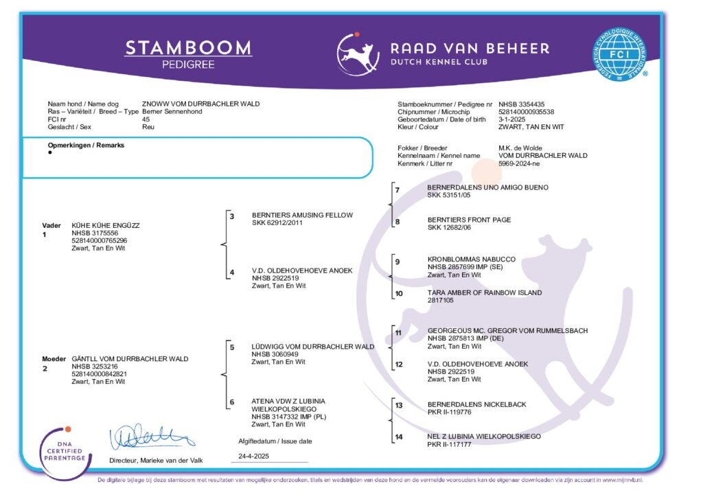 Stamboom (3354435) (1)